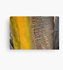 Fibre Canvas Print
