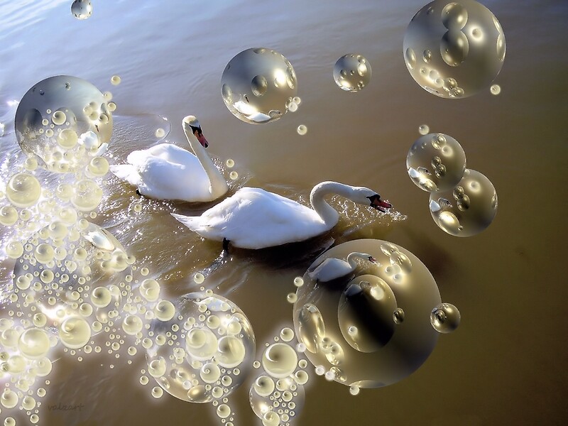 Swan Bubbles By Valerie Anne Kelly Redbubble