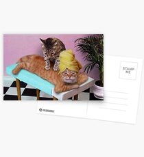 Funny Cat Massage Postcards