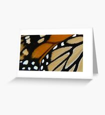 Monarch wings ~ A closer look Greeting Card