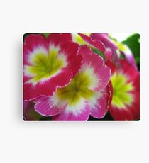 Stacking Flowers Canvas Print
