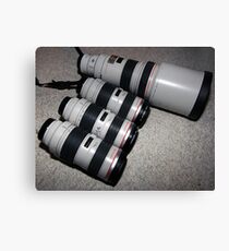 We like Canon, alot. Canvas Print