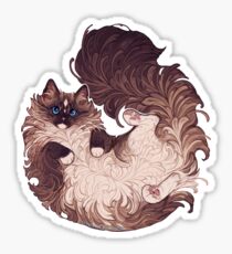 Pegatina Gato ragdoll
