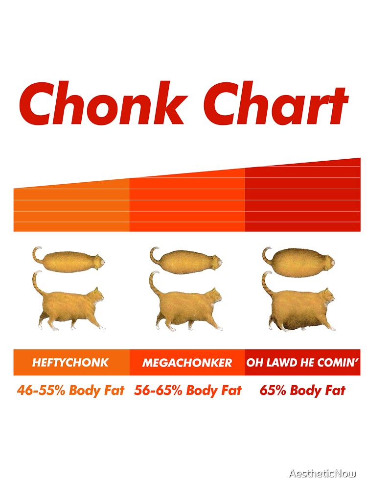 Chonk Chart Cat