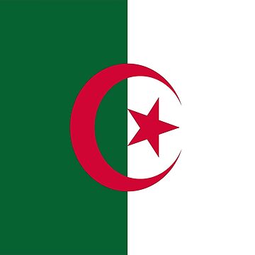 Aperçu de l'œuvre Drapeau de l'Algérie de Shorlick