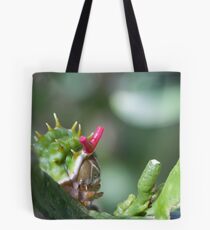 Citrus Caterpiller Tote Bag