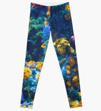 Legging Colorido arrecife de coral