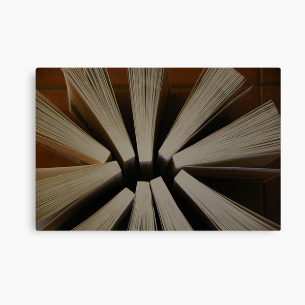 Here's A Novel Angle Canvas Print