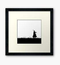 Zoro Framed Print