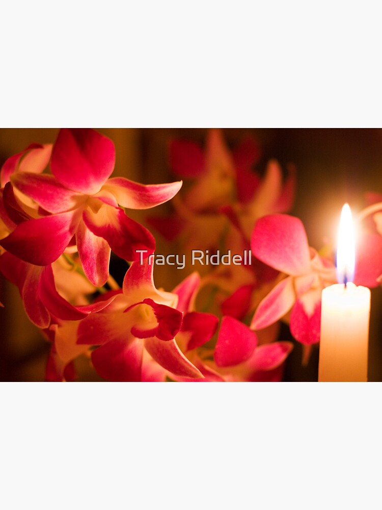 Orchids by Candlelight by taos