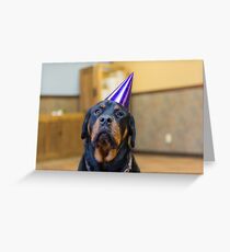 Happy Birthday from a Rottweiler Greeting Card