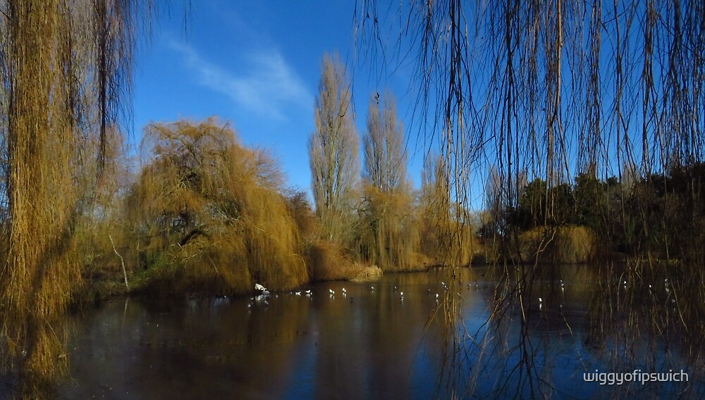 "The Lake, Riverside Walk, Colchester" by wiggyofipswich Redbubble