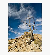 Rio Puerco Photographic Print