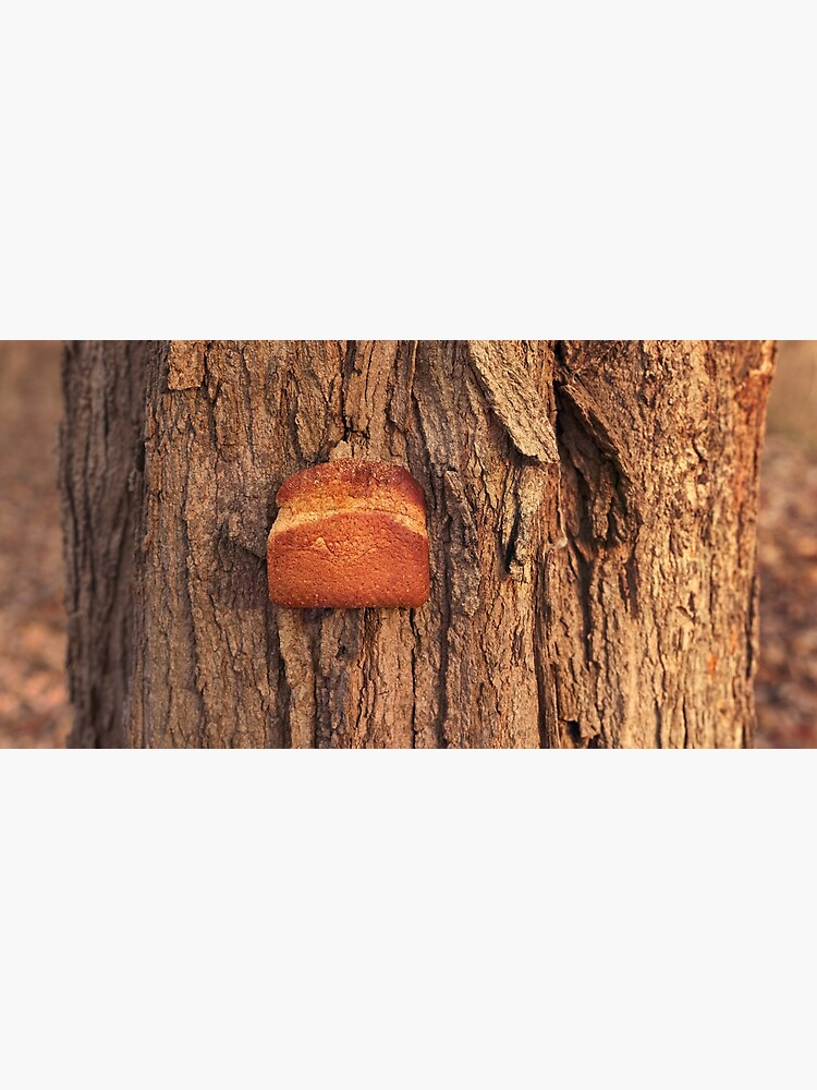 Whole Wheat on White Oak by declanlopez
