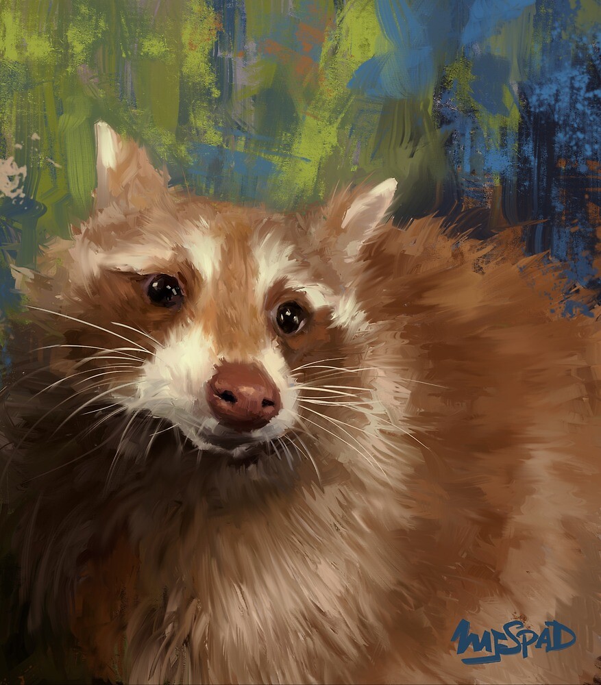 "Cinnamon the Raccoon" by mjspad Redbubble