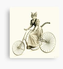 Victorian Cat Series 03 Canvas Print