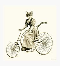 Lámina fotográfica Victorian Cat Series 03