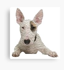 Bull Terrier Metal Print