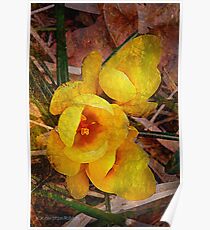 Yellows Poster