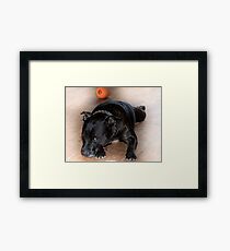 Bored! Framed Print