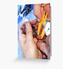 You Need To Measure My What Greeting Card You Need To Measure My What Greeting Card