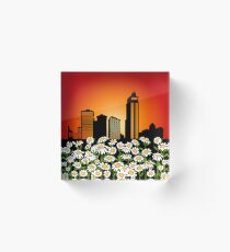 Urban pick Acrylic Block