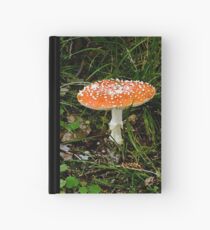 Toadstool Hardcover Journal
