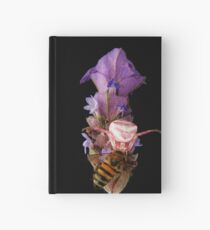 Pink crab spider feeding on a bee (Thomisus. spe. ) Hardcover Journal