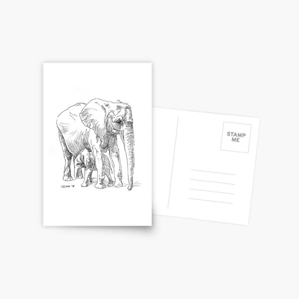 Baby Samson Postcard