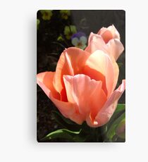 Tulips at Ten Metal Print