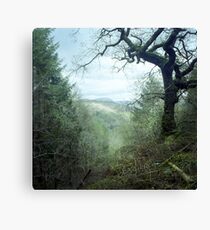 Llyn Mair from Coed Llyn y Garned Canvas Print