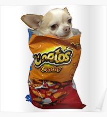 Crunch Doge Poster