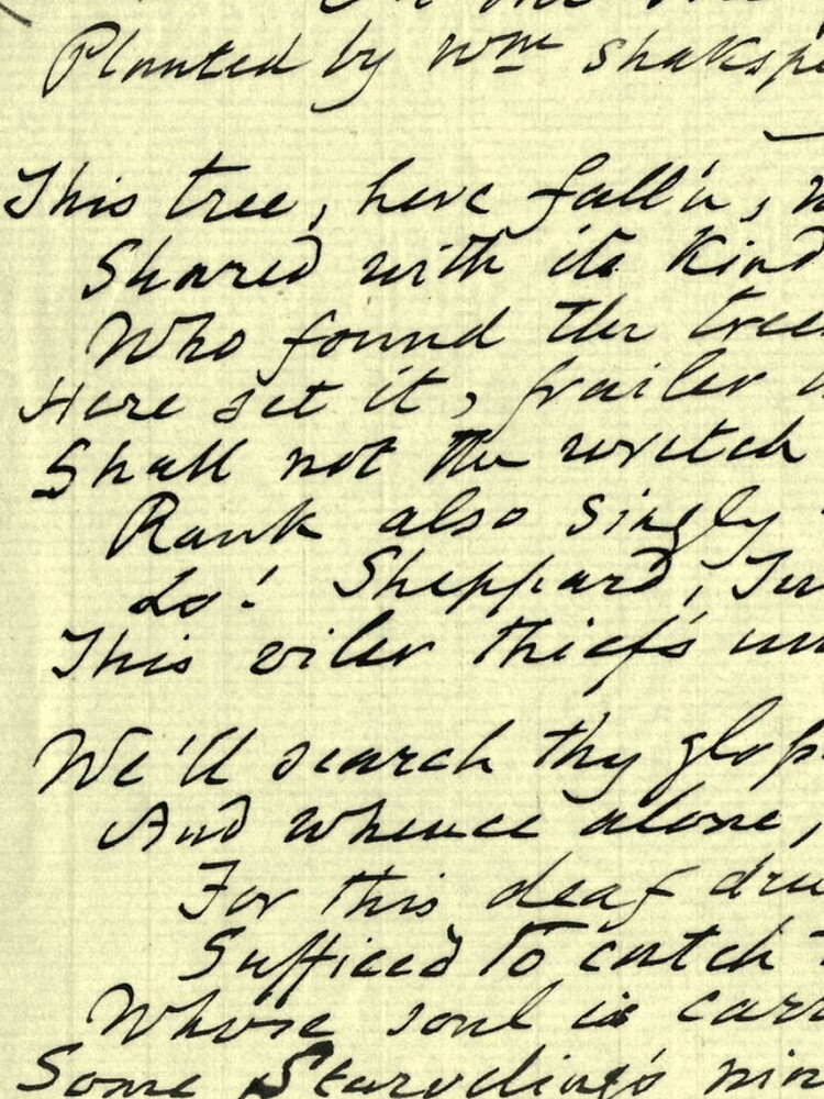 Literary Manuscript by daltonrowe