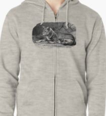 Black and white illustration of the Dingo Zipped Hoodie