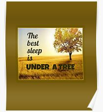 Bester Schlaf ist unter einem Baum Poster