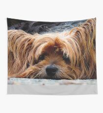 Yorkshire Terrier Wall Tapestry