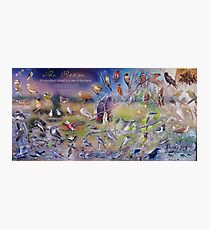 Salt Caves Bird Information Sign Photographic Print