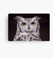 Big Eyes Canvas Print