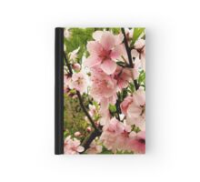 book peach blossom spring