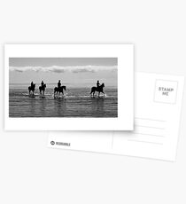 racehorses Postcards