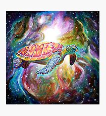 Free flight Photographic Print