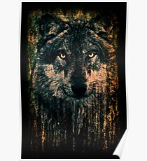 Direwolf Poster