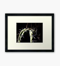 Spike Framed Print