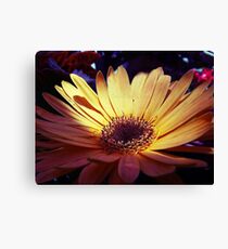 Truth Prevails. Canvas Print