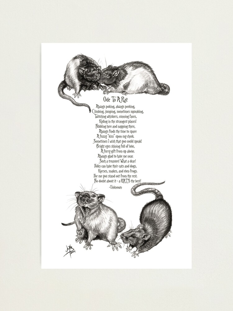 Alternate view of Ode To A Rat Photographic Print
