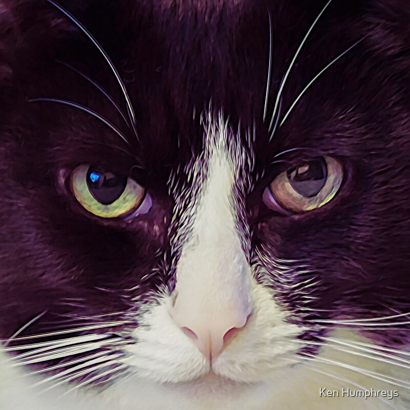 "Cat is watching you" by Ken Humphreys Redbubble