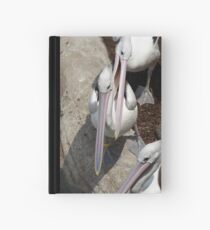 Love Bite Hardcover Journal