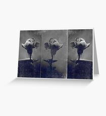 carte postale / 027 Greeting Card