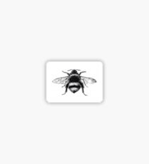 BumbleBee Sticker