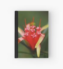 Red Beauty Hardcover Journal